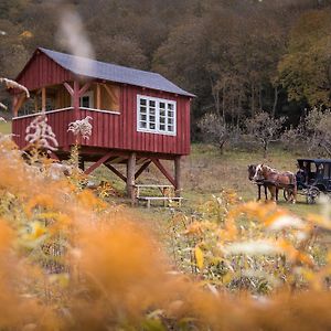 Valea Verde Retreat Transilvania